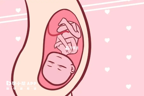 孕早期和晚期都会出现尿频