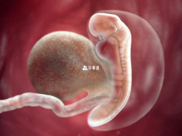 胚胎着床刺痛位置因人而异