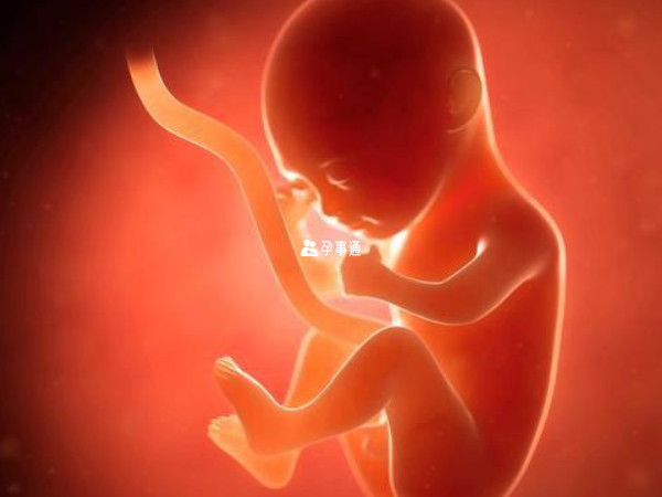 孕早期孕吐比较严重怀女孩的概率比较大