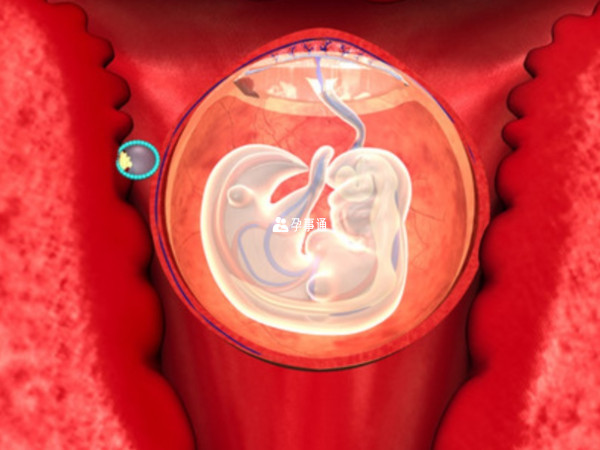 胚胎着床过程中有的会有轻微腹痛感觉
