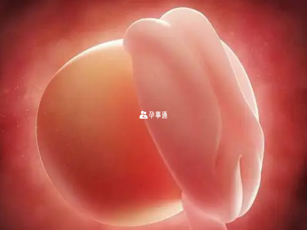 每个孕妇的胎儿生长发育状况各异