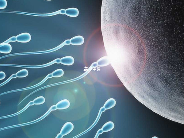 生男孩的Y精子比较适合在碱性环境中