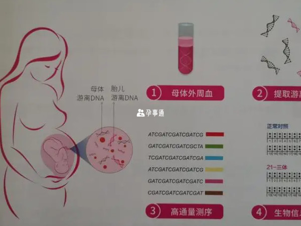 無創DNA看男女的準確率在50%左右