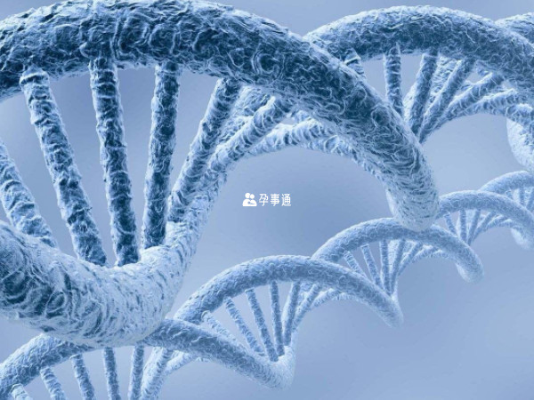 无创DNA是指无创DNA产前检测技术
