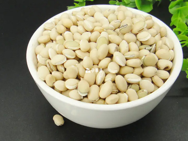 吃白扁豆可以治疗脾虚