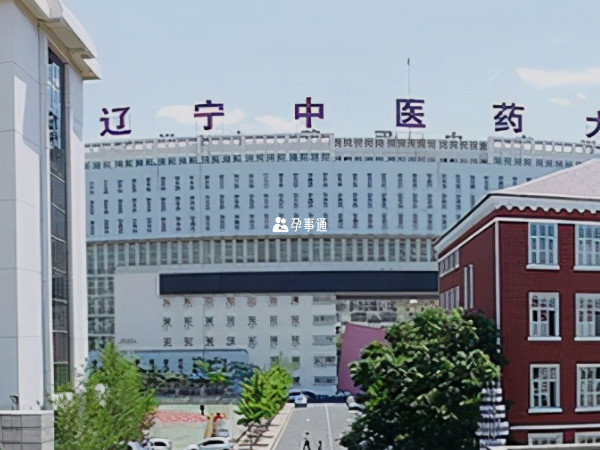 辽宁中医院做试管婴儿的成功率