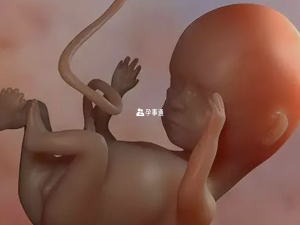 2024年农历九月十八剖腹产的龙宝宝