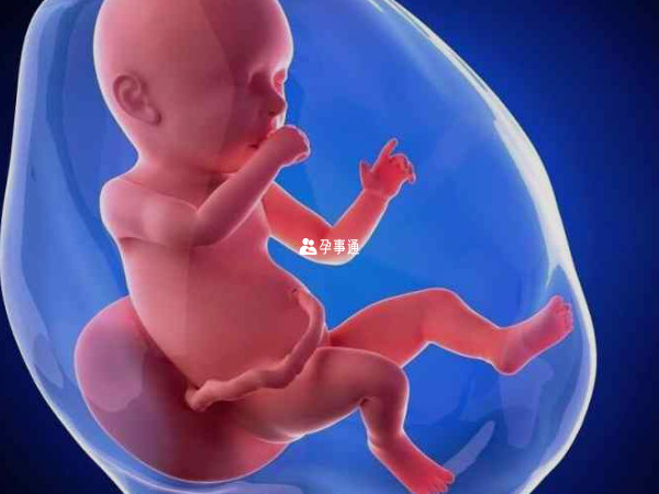 2024年农历七月初九剖腹产的龙宝宝