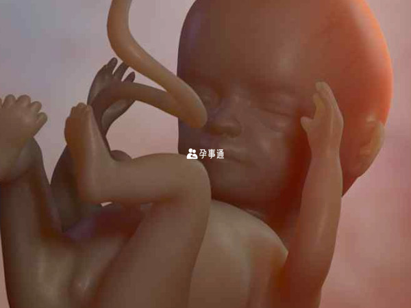 2024年农历三月初十剖腹产的龙宝宝
