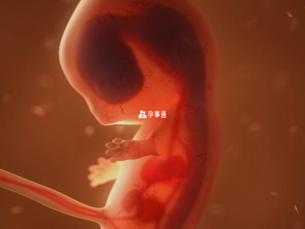 2024年农历六月十一剖腹产的龙宝宝