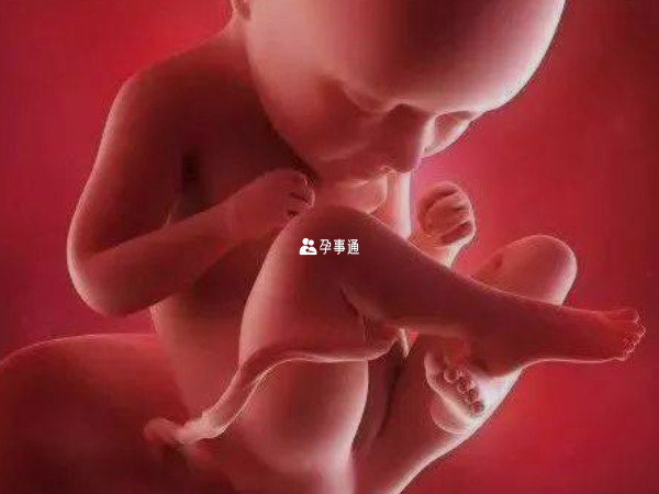 怀孕35周胎儿器官已完全形成