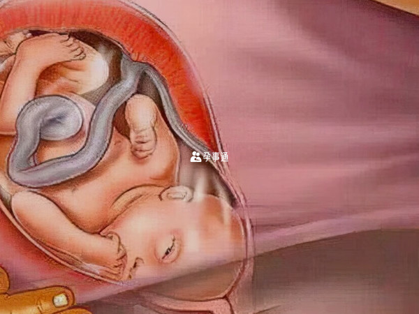 怀孕38周胎儿的各个器官均已准备好