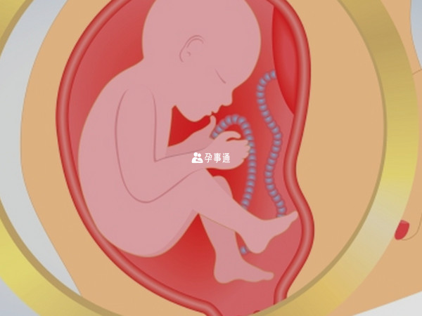2025年2月怀孕预产期在几月