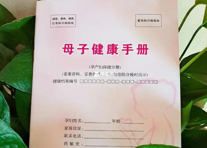 母子健康手冊