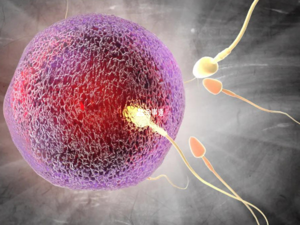 三代试管受精成功率较高