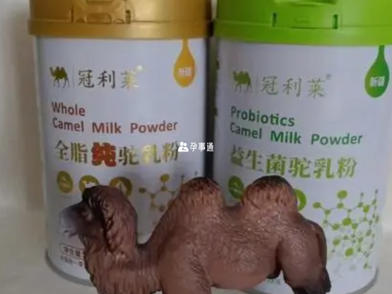 中国十大驼奶粉排行榜