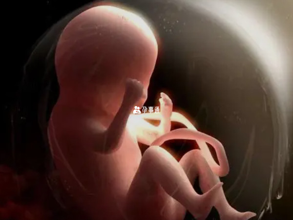 9月份-10月份有利于胎儿发育