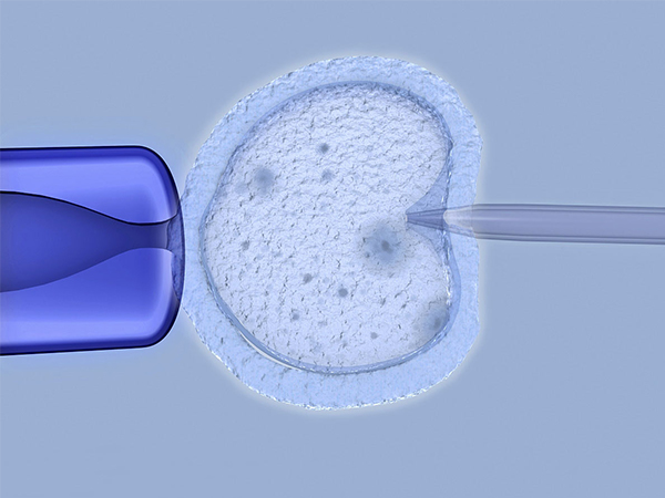 生殖中心试管短方案流程是怎么样的