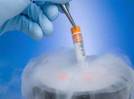 鲜胚移植后21天胚胎发育正常有哪些症状