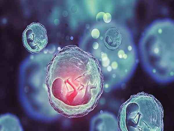 胚胎移植成功最明显的十个征兆总结