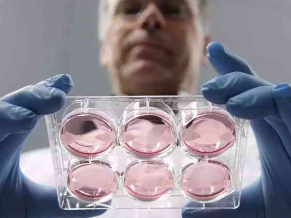 降调人工周期移植冻胚的流程