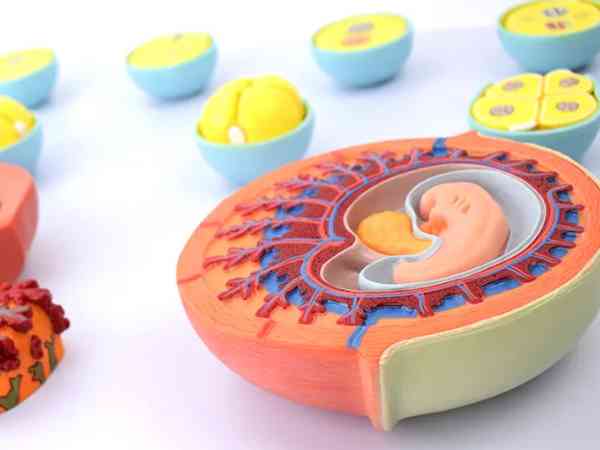 移植使用胚胎胶的利弊有哪些