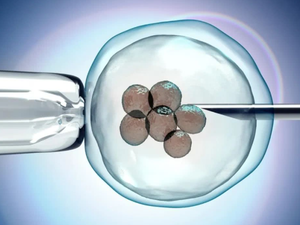 移植多胚胎生双胎几率会提高
