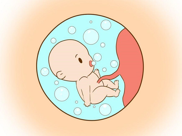 试管期间注射赛增不会对胎儿产生影响