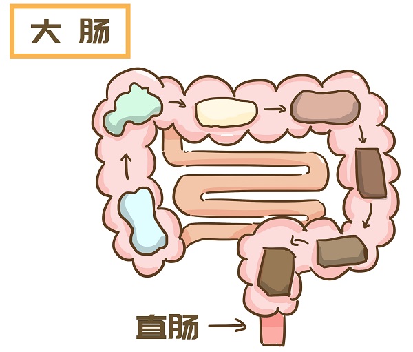 服用溴隐亭对肠道可能会对肠道产生刺激