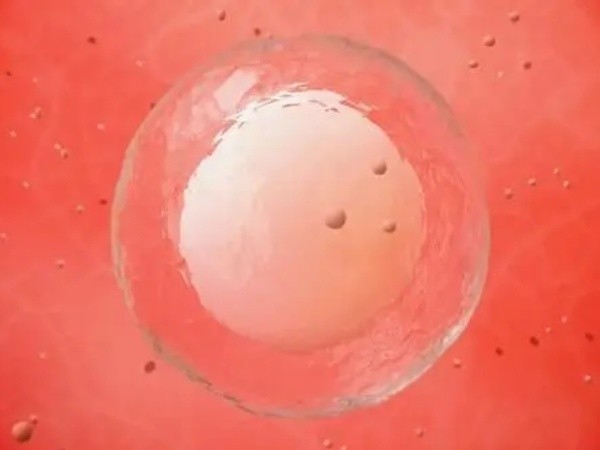 5个窦卵泡也是可以做试管的