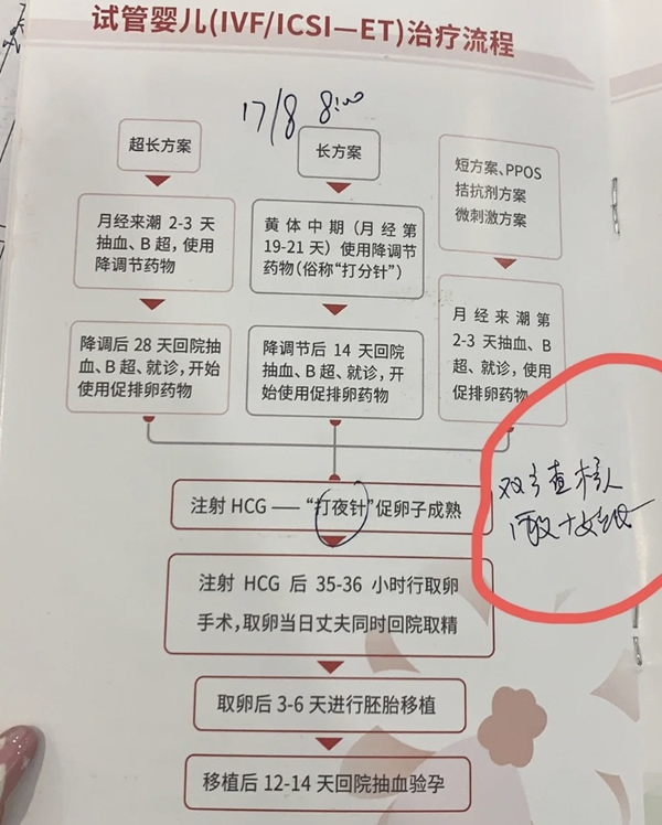 试管婴儿流程表