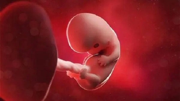 胎儿和孕妇不太受艾泽影响