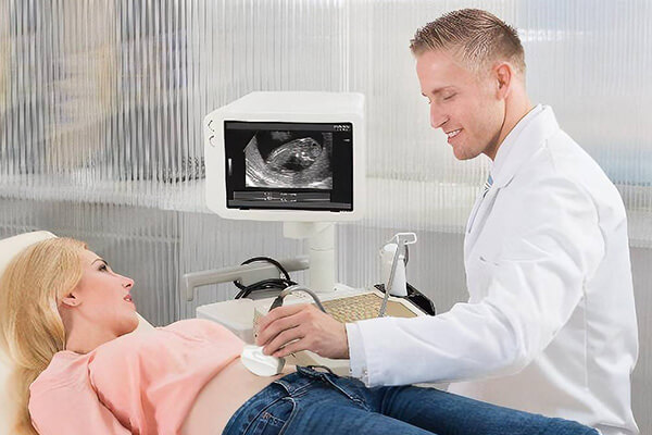 女性孕2个多月胎停概率较大