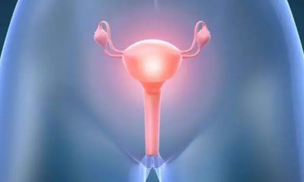 卵巢被促排药物刺激
