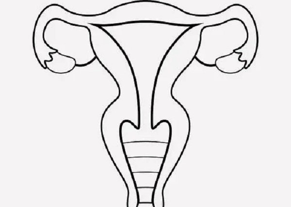 试管婴儿中使用芬吗通能增加子宫内膜厚度