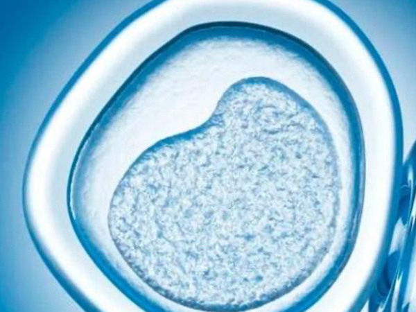 移植冻囊胚7天流褐色分泌物原因